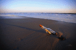 A Message in a Bottle.gif (100615 bytes)